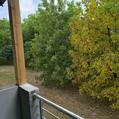 Apartman Riki Apartament *